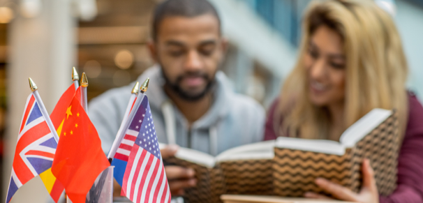 Students studying Linguistics in front of different national flags